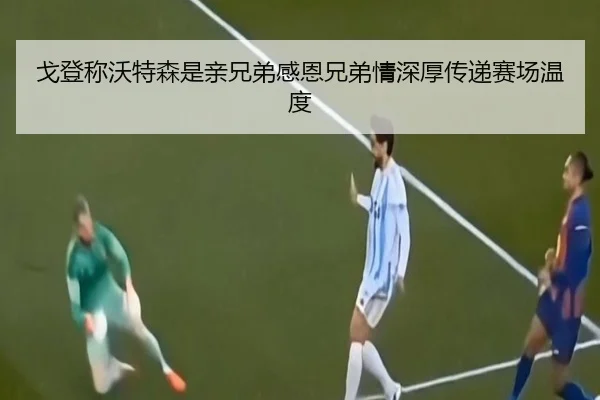 戈登称沃特森是亲兄弟感恩兄弟情深厚传递赛场温度